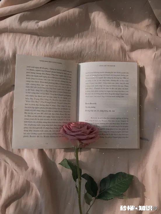 考研备考期间，脾气差怎么办