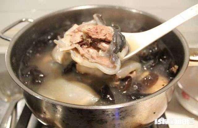 甲鱼给老人吃，怎么做才能补血