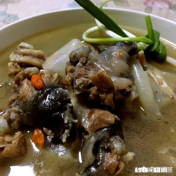 甲鱼给老人吃，怎么做才能补血