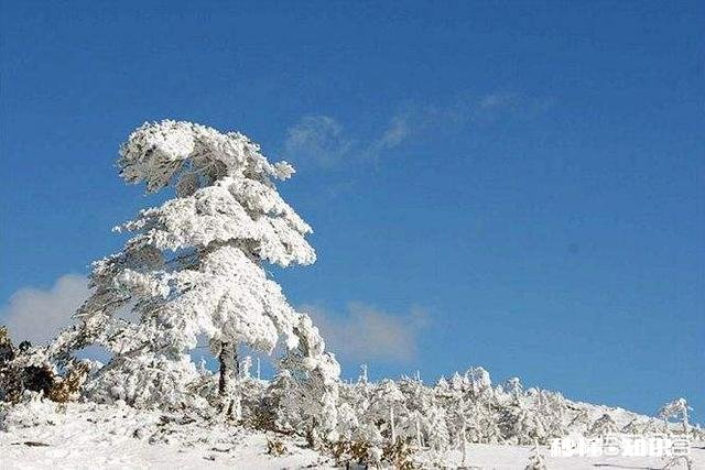 冬天的云南，想要实现在雪地“撒野”的愿望，有可能实现吗