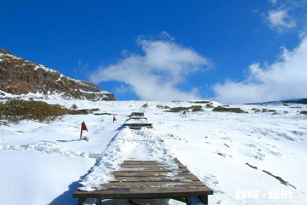 冬天的云南，想要实现在雪地“撒野”的愿望，有可能实现吗