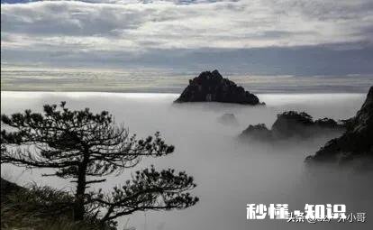 旅游景区规划的设计原则有哪些