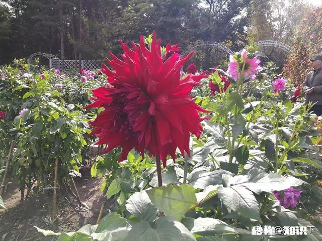 旅游景区规划的设计原则有哪些