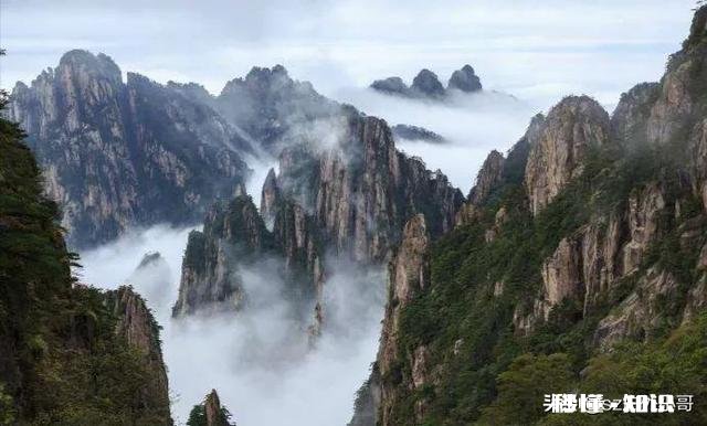 旅游景区规划的设计原则有哪些