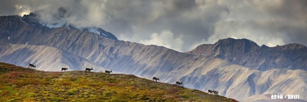 旅游景区规划的设计原则有哪些