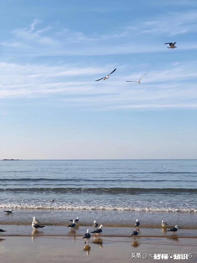 你为什么要逼着自己成熟