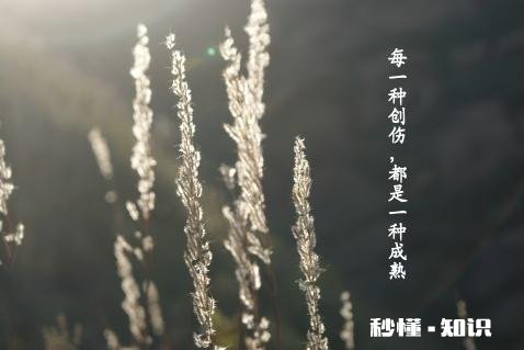 你为什么要逼着自己成熟