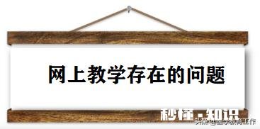 臀不停学的网上教学取得了哪些效果和值得反思的经验