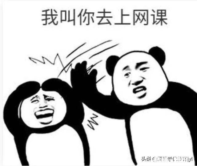 臀不停学的网上教学取得了哪些效果和值得反思的经验