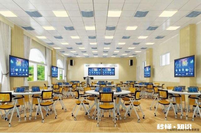 臀不停学的网上教学取得了哪些效果和值得反思的经验