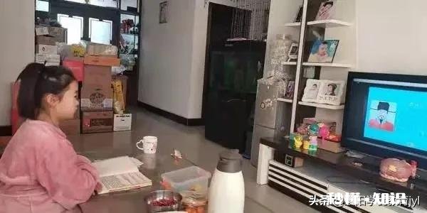 臀不停学的网上教学取得了哪些效果和值得反思的经验