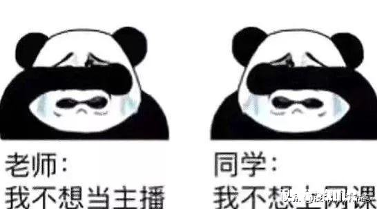 臀不停学的网上教学取得了哪些效果和值得反思的经验