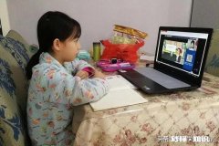 臀不停学的网上教学取得了哪些效果和值得反思的经验