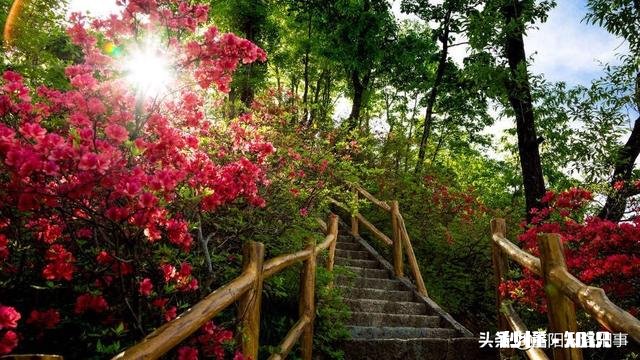 在洛阳生活是怎样的体验