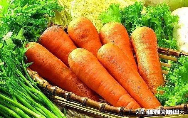 秋季种植葫萝卜，该如何管理才能优质高产