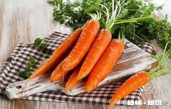 秋季种植葫萝卜，该如何管理才能优质高产