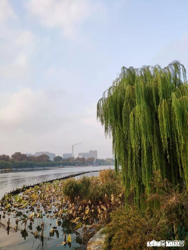 一些人打着摄影的幌子却不摄影，你见过这种人吗你觉得他们为什么要这么做
