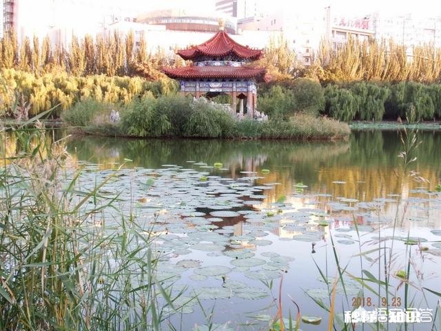 一些人打着摄影的幌子却不摄影，你见过这种人吗你觉得他们为什么要这么做