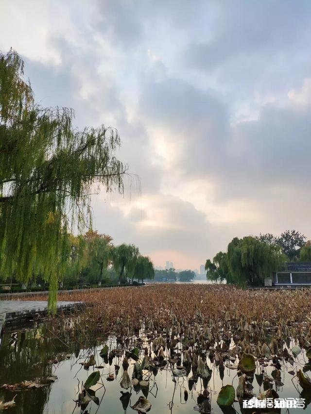 一些人打着摄影的幌子却不摄影，你见过这种人吗你觉得他们为什么要这么做