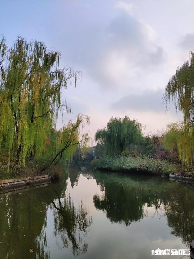 一些人打着摄影的幌子却不摄影，你见过这种人吗你觉得他们为什么要这么做