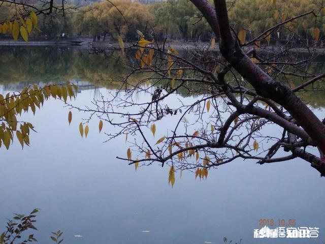 一些人打着摄影的幌子却不摄影，你见过这种人吗你觉得他们为什么要这么做