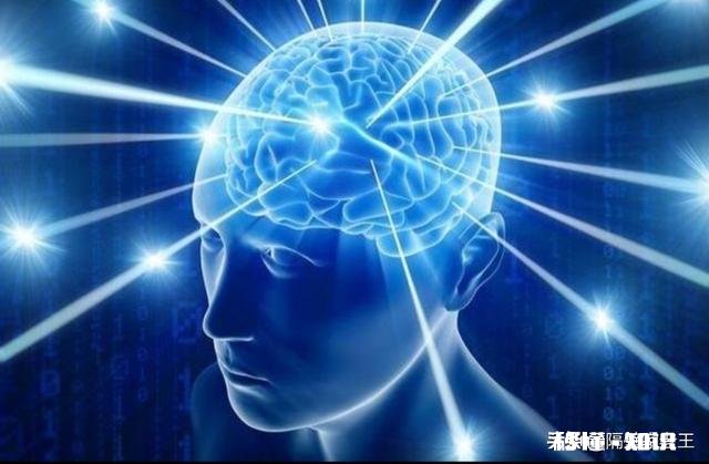 发表头条文章先是机器审核，机器审核是怎么能审清真情实感的