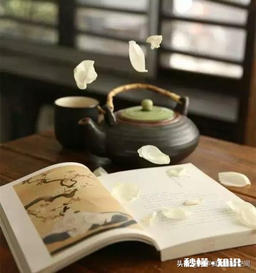 没有书和音乐的生活是怎样的