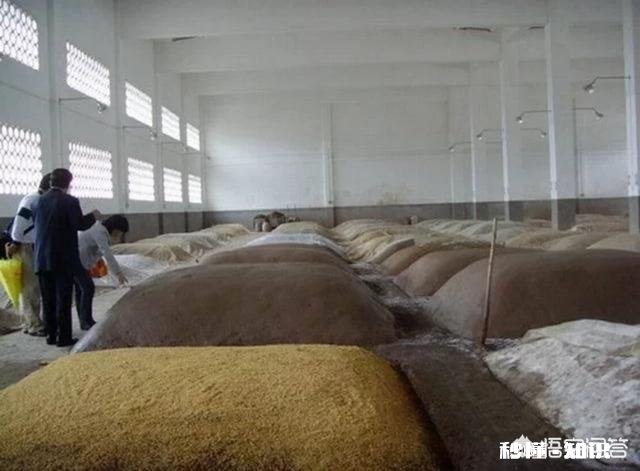 在农村搞个小型的酒厂大概要投资多少钱呢