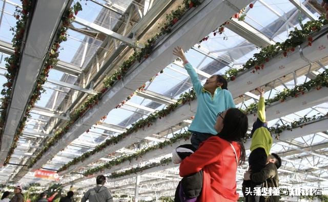 包车去八达岭长城回来还能去哪玩