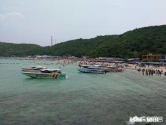 泰国到底是一个怎样的国家为什么那么多人去泰国旅游