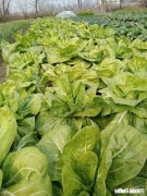 为什么越来越多的农村人觉得回农村老家过年并不快乐