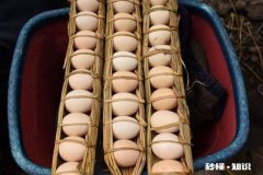 云南第一怪是什么