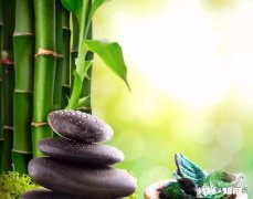 这个世界每个人都很辛苦，你凭什么扛不住