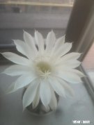 地摊经济崛起会给哪些行业带来暴利