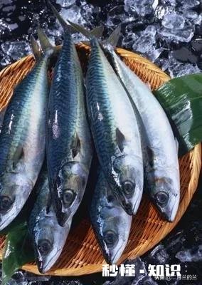 有人像我一样只吃过海带没有吃过其它海鲜吗