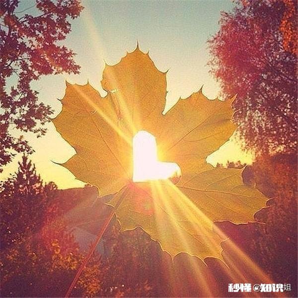 71年出生的你,今年是本命年,过得如何,有什么特别经历吗