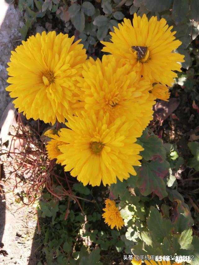 71年出生的你,今年是本命年,过得如何,有什么特别经历吗