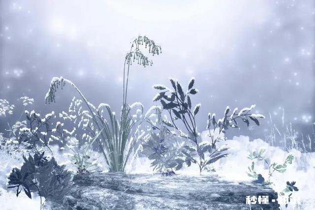 今年夏天雨水特别多,听老人说冬天几乎不会下雪,有什么根据么