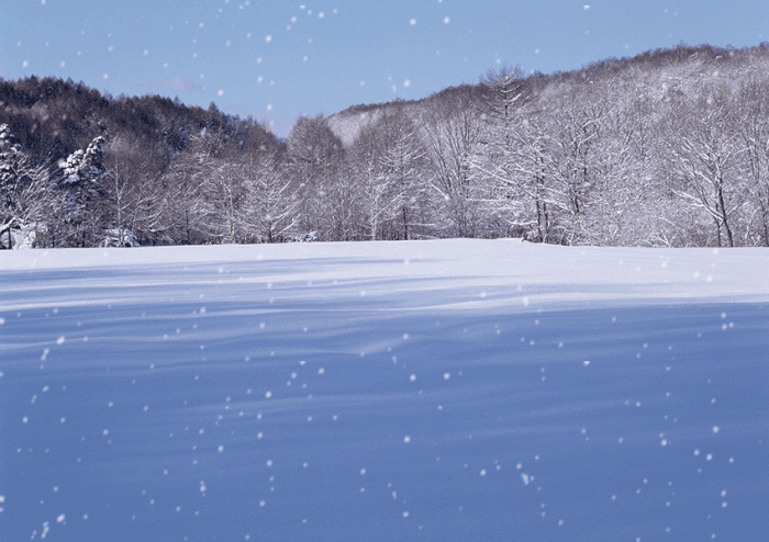 今年夏天雨水特别多,听老人说冬天几乎不会下雪,有什么根据么