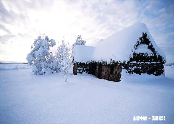 今年夏天雨水特别多,听老人说冬天几乎不会下雪,有什么根据么