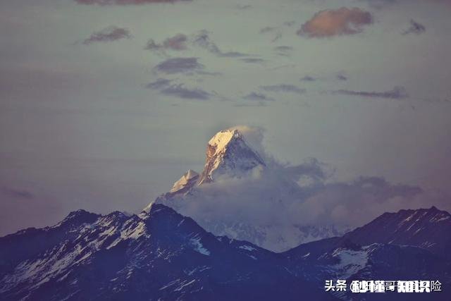 低头看手机有什么让你后悔的事吗