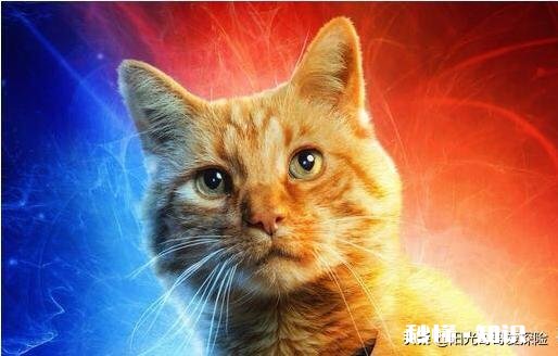 低头看手机有什么让你后悔的事吗