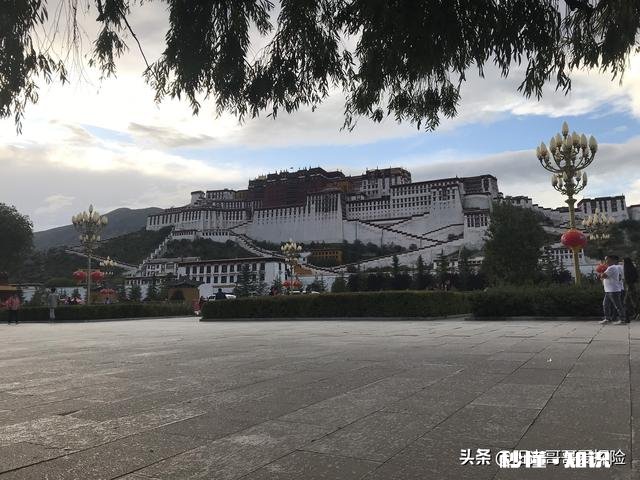 低头看手机有什么让你后悔的事吗