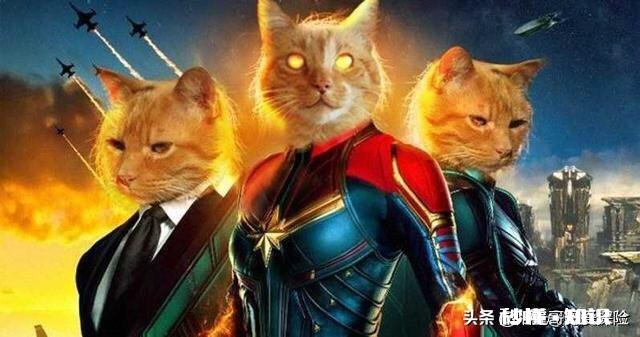 低头看手机有什么让你后悔的事吗