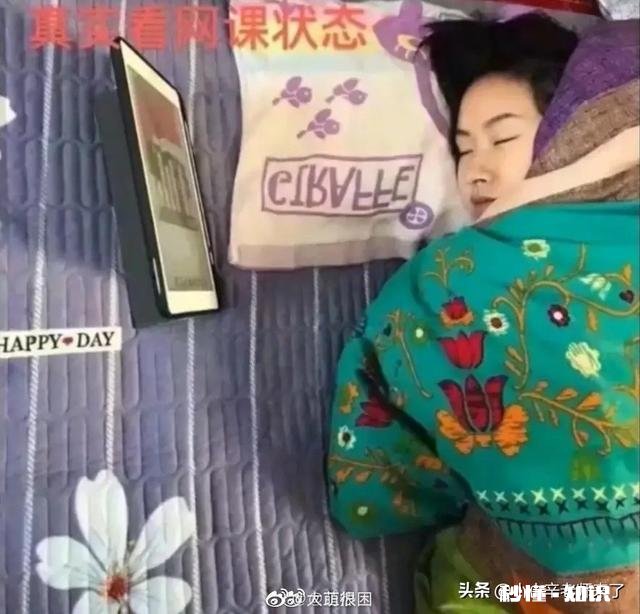 针对现在各大高校在上网课的情况怎么看