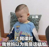 针对现在各大高校在上网课的情况怎么看