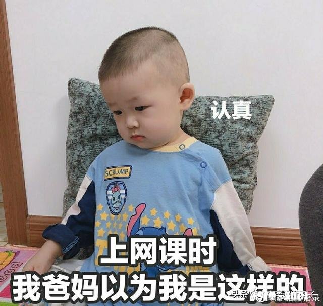 针对现在各大高校在上网课的情况怎么看