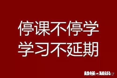 针对现在各大高校在上网课的情况怎么看