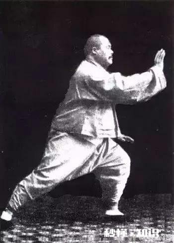 有人说太极拳每个人打出来都不一样,为什么