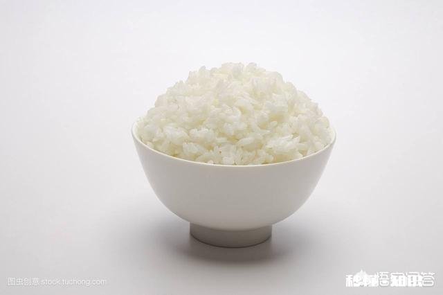 吃米饭真的会加重湿气吗怎样吃米饭更健康呢